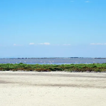 Amigos-9 By Interhome Appartement