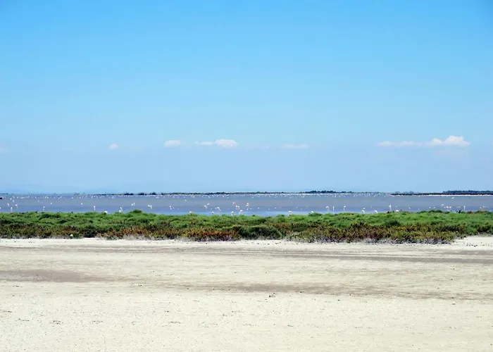 Amigos-9 By Interhome Apartamento